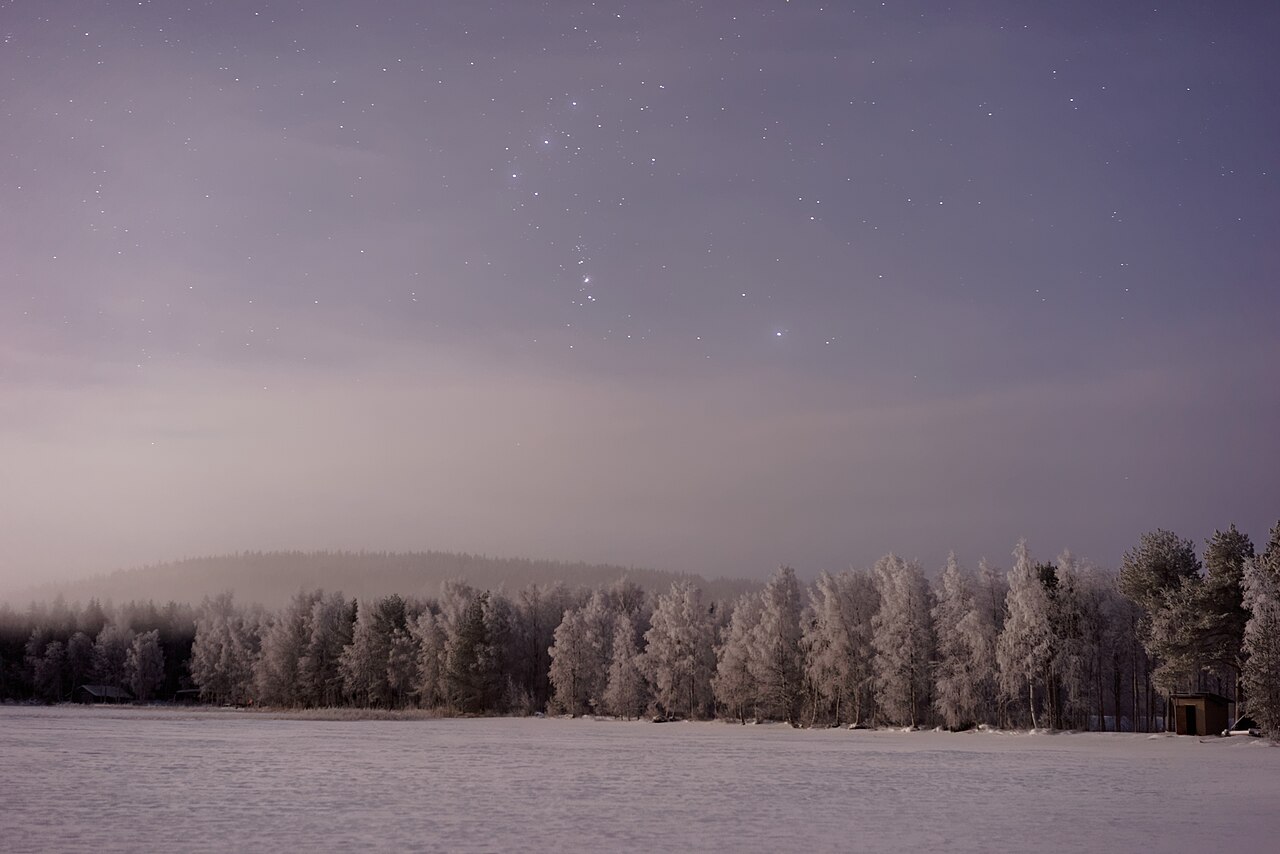 Snow-covered forest in winter, Lapland